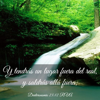 Picture 03 - Deuteronomio 23:12 RVA - Y tendrás un lugar fuera del real, y saldrás - Bible Verse Picture