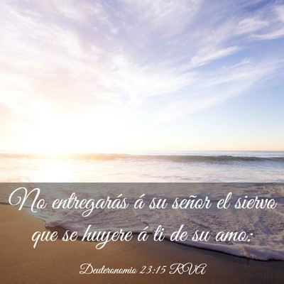 Picture 03 - Deuteronomio 23:15 RVA - No entregarás á su señor el siervo que se - Bible Verse Picture