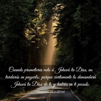Picture 03 - Deuteronomio 23:21 RVA - Cuando prometieres voto á Jehová tu Dios, no - Bible Verse Picture