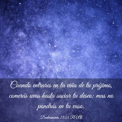 Picture 03 - Deuteronomio 23:24 RVA - Cuando entrares en la viña de tu prójimo, - Bible Verse Picture