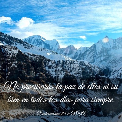 Picture 03 - Deuteronomio 23:6 RVA - No procurarás la paz de ellos ni su bien en - Bible Verse Picture