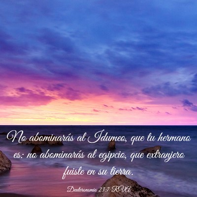 Picture 03 - Deuteronomio 23:7 RVA - No abominarás al Idumeo, que tu hermano es: no - Bible Verse Picture