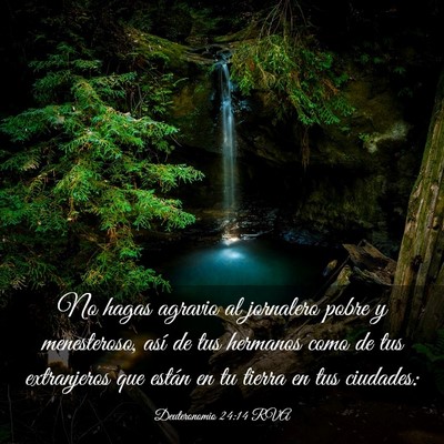 Picture 03 - Deuteronomio 24:14 RVA - No hagas agravio al jornalero pobre y - Bible Verse Picture