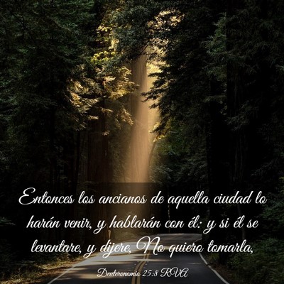 Picture 03 - Deuteronomio 25:8 RVA - Entonces los ancianos de aquella ciudad lo harán - Bible Verse Picture