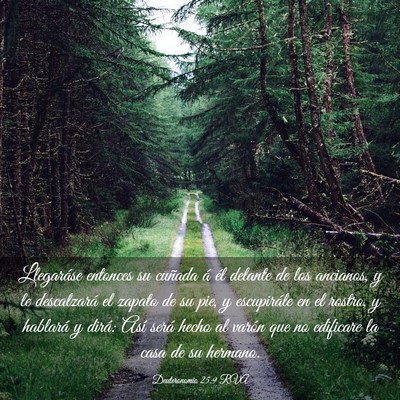 Picture 03 - Deuteronomio 25:9 RVA - Llegaráse entonces su cuñada á él delante de - Bible Verse Picture