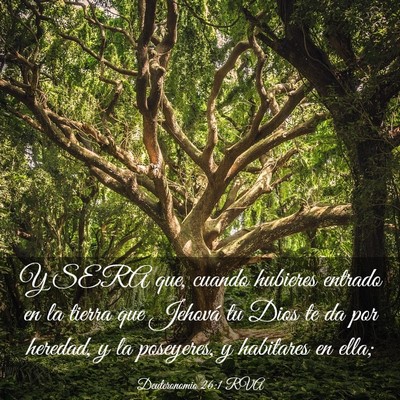 Picture 03 - Deuteronomio 26:1 RVA - Y SERA que, cuando hubieres entrado en la tierra - Bible Verse Picture