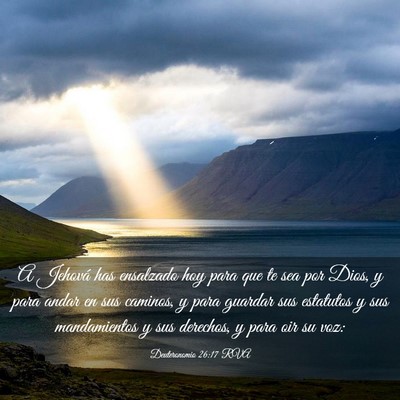 Picture 03 - Deuteronomio 26:17 RVA - A Jehová has ensalzado hoy para que te sea por - Bible Verse Picture