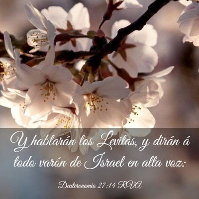 Picture 03 - Deuteronomio 27:14 RVA - Y hablarán los Levitas, y dirán á todo varón - Bible Verse Picture