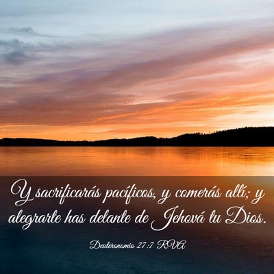 Picture 03 - Deuteronomio 27:7 RVA - Y sacrificarás pacíficos, y comerás allí; y - Bible Verse Picture