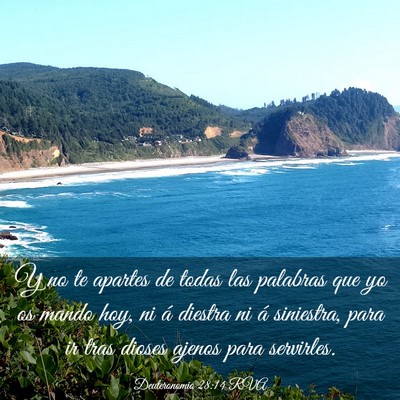 Picture 03 - Deuteronomio 28:14 RVA - Y no te apartes de todas las palabras que yo os - Bible Verse Picture