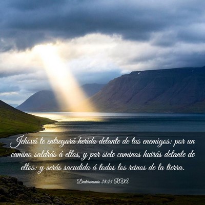 Picture 03 - Deuteronomio 28:25 RVA - Jehová te entregará herido delante de tus - Bible Verse Picture