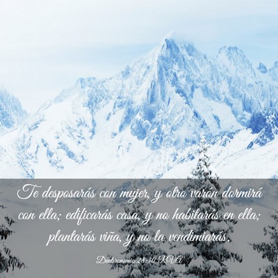 Picture 03 - Deuteronomio 28:30 RVA - Te desposarás con mujer, y otro varón dormirá - Bible Verse Picture