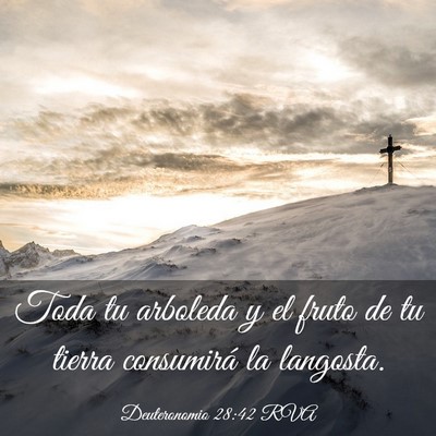 Picture 03 - Deuteronomio 28:42 RVA - Toda tu arboleda y el fruto de tu tierra - Bible Verse Picture