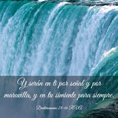 Picture 03 - Deuteronomio 28:46 RVA - Y serán en ti por señal y por maravilla, y en - Bible Verse Picture