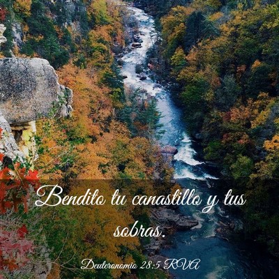 Picture 03 - Deuteronomio 28:5 RVA - Bendito tu canastillo y tus - Bible Verse Picture