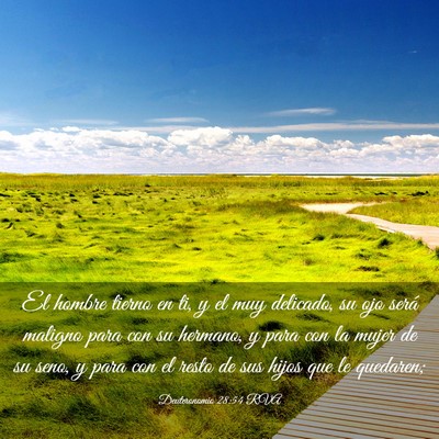 Picture 03 - Deuteronomio 28:54 RVA - El hombre tierno en ti, y el muy delicado, su ojo - Bible Verse Picture
