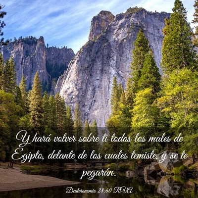 Picture 03 - Deuteronomio 28:60 RVA - Y hará volver sobre ti todos los males de - Bible Verse Picture