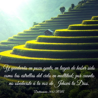 Picture 03 - Deuteronomio 28:62 RVA - Y quedaréis en poca gente, en lugar de haber - Bible Verse Picture
