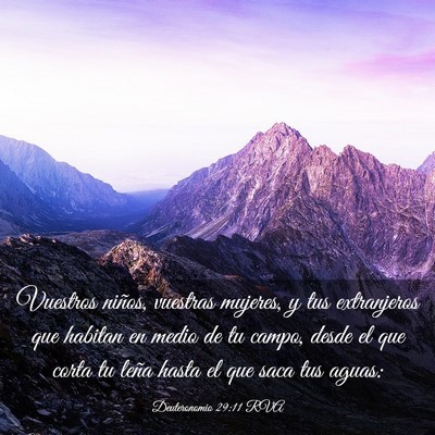 Picture 03 - Deuteronomio 29:11 RVA - Vuestros niños, vuestras mujeres, y tus - Bible Verse Picture