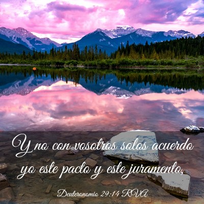 Picture 03 - Deuteronomio 29:14 RVA - Y no con vosotros solos acuerdo yo este pacto y - Bible Verse Picture