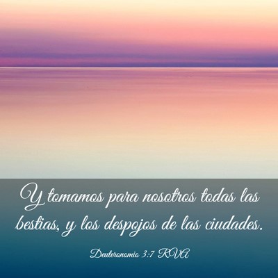 Picture 03 - Deuteronomio 3:7 RVA - Y tomamos para nosotros todas las bestias, y los - Bible Verse Picture