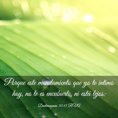 Picture 03 - Deuteronomio 30:11 RVA - Porque este mandamiento que yo te intimo hoy, no - Bible Verse Picture