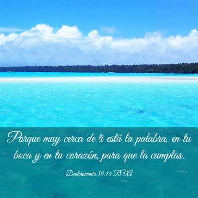 Picture 03 - Deuteronomio 30:14 RVA - Porque muy cerca de ti está la palabra, en tu - Bible Verse Picture