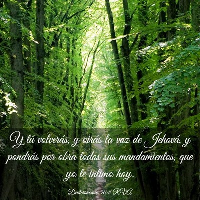 Picture 03 - Deuteronomio 30:8 RVA - Y tú volverás, y oirás la voz de Jehová, y - Bible Verse Picture