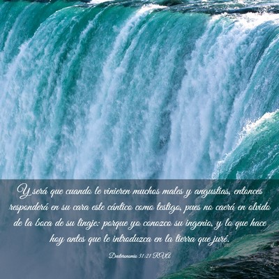 Picture 03 - Deuteronomio 31:21 RVA - Y será que cuando le vinieren muchos males y - Bible Verse Picture