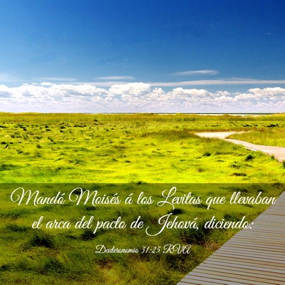 Picture 03 - Deuteronomio 31:25 RVA - Mandó Moisés á los Levitas que llevaban el - Bible Verse Picture