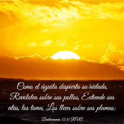 Picture 03 - Deuteronomio 32:11 RVA - Como el águila despierta su nidada, Revolotea - Bible Verse Picture
