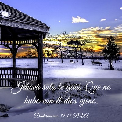 Picture 03 - Deuteronomio 32:12 RVA - Jehová solo le guió, Que no hubo con él dios - Bible Verse Picture