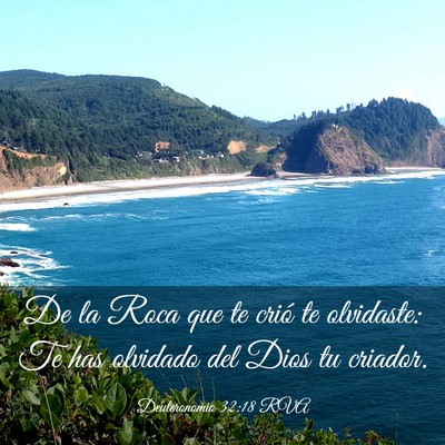 Picture 03 - Deuteronomio 32:18 RVA - De la Roca que te crió te olvidaste: Te has - Bible Verse Picture