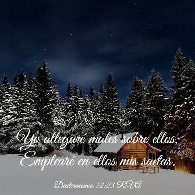 Picture 03 - Deuteronomio 32:23 RVA - Yo allegaré males sobre ellos; Emplearé en - Bible Verse Picture