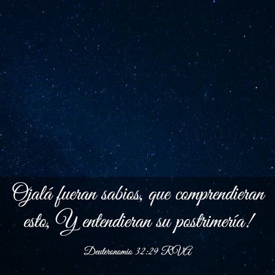 Picture 03 - Deuteronomio 32:29 RVA - Ojalá fueran sabios, que comprendieran esto, Y - Bible Verse Picture