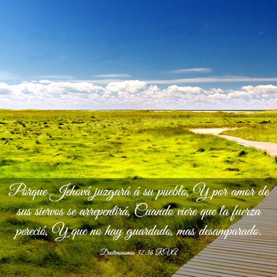 Picture 03 - Deuteronomio 32:36 RVA - Porque Jehová juzgará á su pueblo, Y por amor - Bible Verse Picture