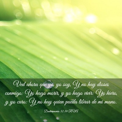 Picture 03 - Deuteronomio 32:39 RVA - Ved ahora que yo, yo soy, Y no hay dioses - Bible Verse Picture