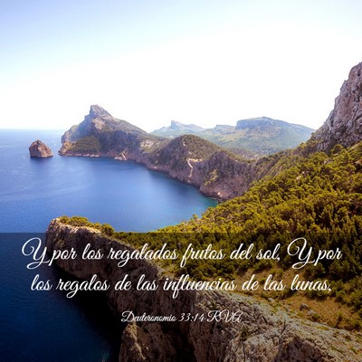 Picture 03 - Deuteronomio 33:14 RVA - Y por los regalados frutos del sol, Y por los - Bible Verse Picture