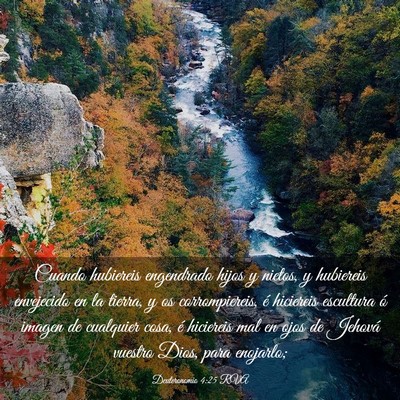 Picture 03 - Deuteronomio 4:25 RVA - Cuando hubiereis engendrado hijos y nietos, y - Bible Verse Picture