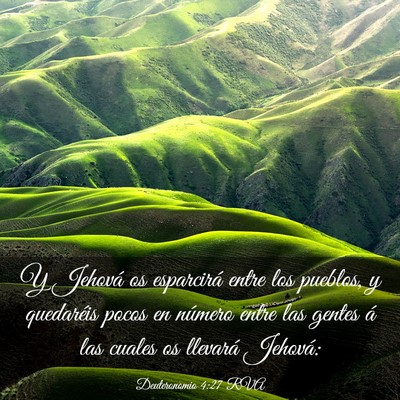 Picture 03 - Deuteronomio 4:27 RVA - Y Jehová os esparcirá entre los pueblos, y - Bible Verse Picture