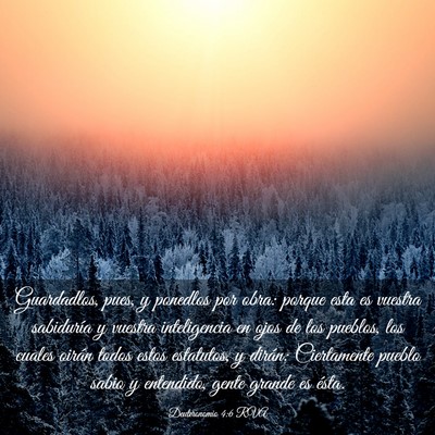 Picture 03 - Deuteronomio 4:6 RVA - Guardadlos, pues, y ponedlos por obra: porque - Bible Verse Picture