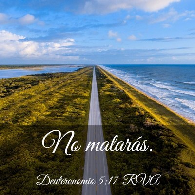Picture 03 - Deuteronomio 5:17 RVA - No - Bible Verse Picture