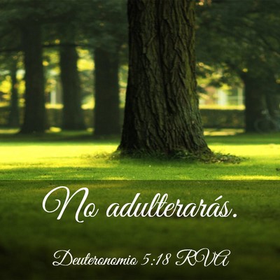 Picture 03 - Deuteronomio 5:18 RVA - No - Bible Verse Picture