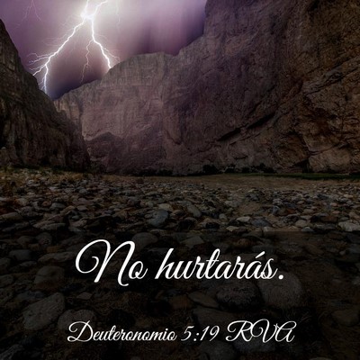Picture 03 - Deuteronomio 5:19 RVA - No - Bible Verse Picture