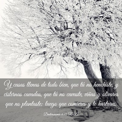 Picture 03 - Deuteronomio 6:11 RVA - Y casas llenas de todo bien, que tú no - Bible Verse Picture