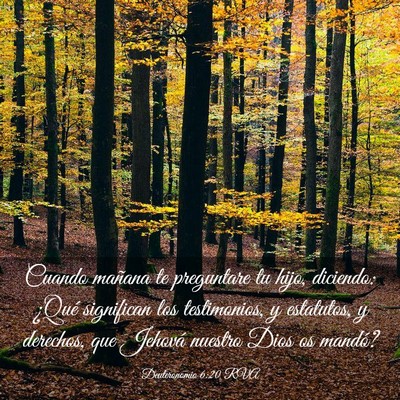 Picture 03 - Deuteronomio 6:20 RVA - Cuando mañana te preguntare tu hijo, diciendo: - Bible Verse Picture