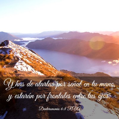 Picture 03 - Deuteronomio 6:8 RVA - Y has de atarlas por señal en tu mano, y - Bible Verse Picture