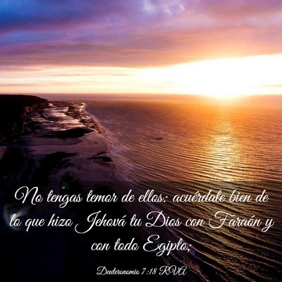 Picture 03 - Deuteronomio 7:18 RVA - No tengas temor de ellos: acuérdate bien de lo - Bible Verse Picture