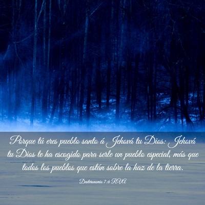 Picture 03 - Deuteronomio 7:6 RVA - Porque tú eres pueblo santo á Jehová tu Dios: - Bible Verse Picture
