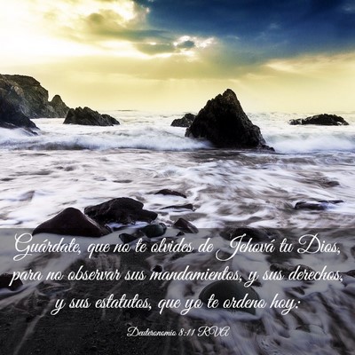 Picture 03 - Deuteronomio 8:11 RVA - Guárdate, que no te olvides de Jehová tu Dios, - Bible Verse Picture